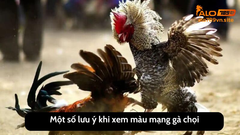 Một số lưu ý khi xem màu mạng gà chọi