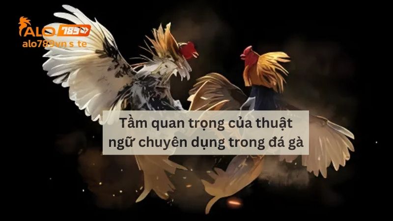 Tầm quan trọng của thuật ngữ chuyên dụng trong đá gà