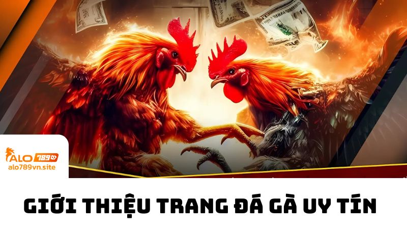 Theo dõi thông tin chính về trang đá gà uy tín