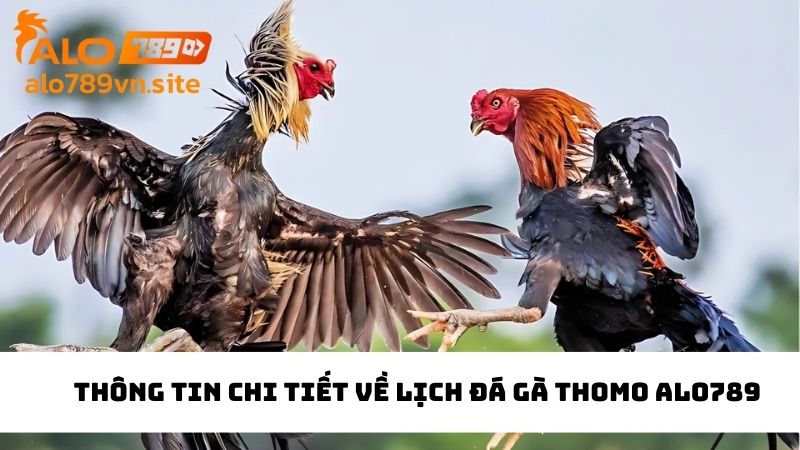 Chuyên mục đưa ra nội dung liên quan đến lịch đá gà trực tuyến