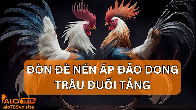 Đòn đè nén áp đảo dong trâu đuổi tảng