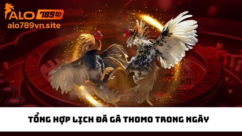 Đưa ra lịch đá gà tổng hợp diễn ra trong ngày