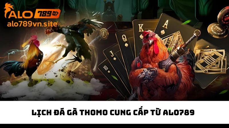 Giới thiệu về chuyên mục lịch đá gà Thomo trực tiếp