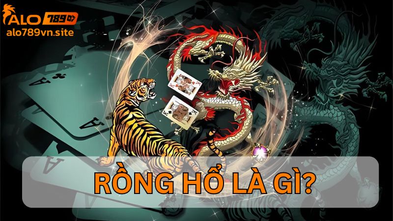 Khám phá Rồng Hổ là gì?