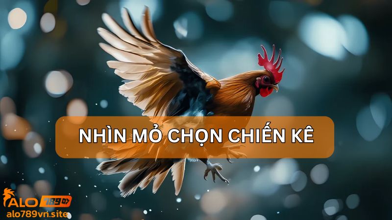 Nhìn mỏ đoán đâu là chiến kê