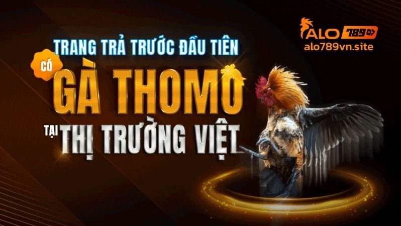 Thông tin chung về ALO789