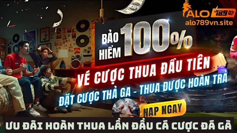 Ưu đãi hoàn thua lần đầu tham gia cá cược đá gà 