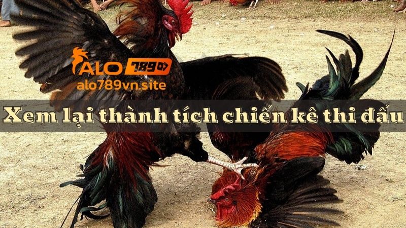 Xem lại bảng thành tích của chiến kê thi đấu trước đó